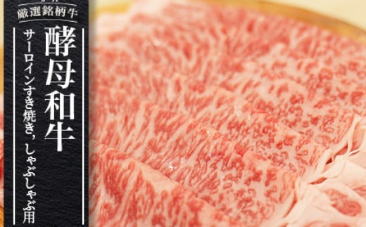 《寄附額改定》 あだたら酵母和牛 サーロイン 600g（ すき焼き ・ しゃぶしゃぶ 用）【 黒毛和牛 ／ 国産 】 牛肉 焼肉 鉄板焼 福島県 大玉村 【 02114 】