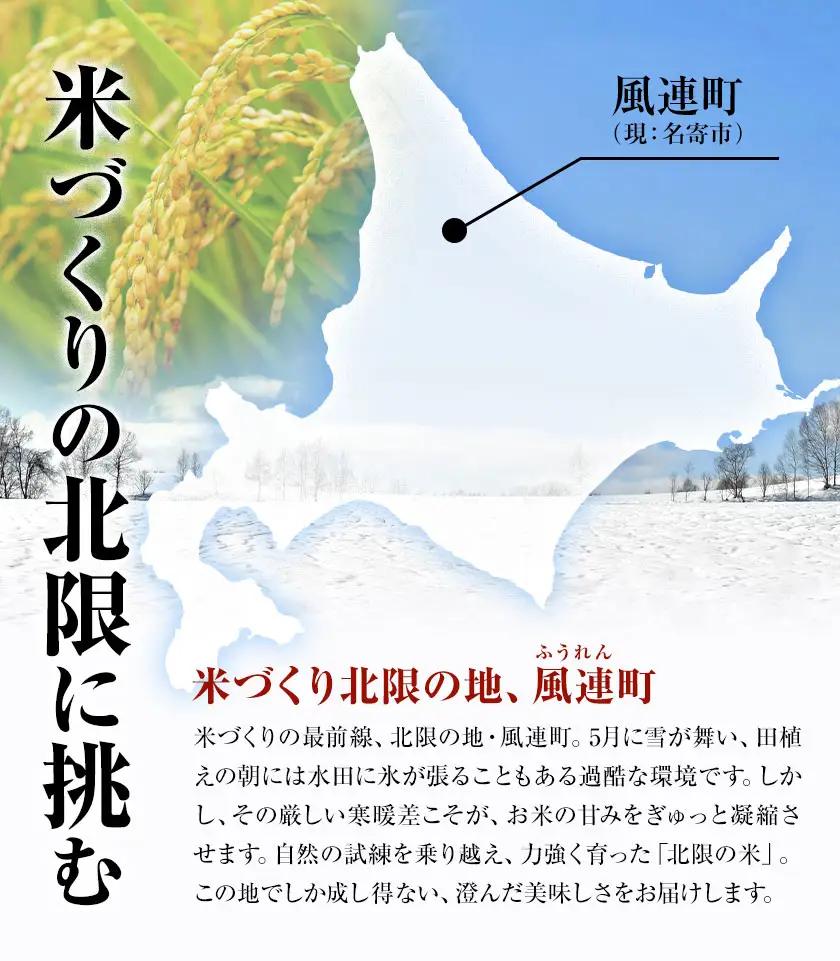 令和8年産 新米 ゆめぴりか 5kg 今村芳彦 北海道名寄市
