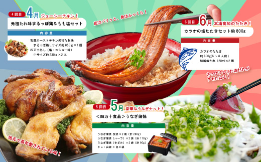 【年末限定】 12回 定期便 四万十 人気 グルメ お楽しみ定期便 しまんと ふるさと 30万円 今だけ 年末 限定 肉 いちご 文旦 うなぎ 牛肉 パン まぐろ マグロ かつお フルーツ 人気グルメ