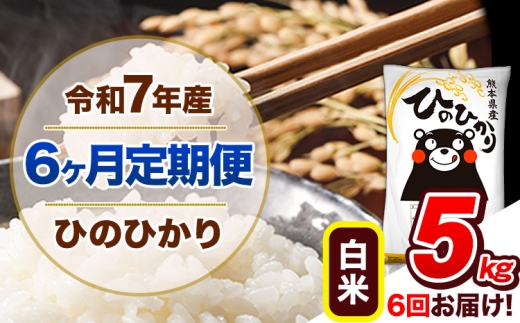 【6ヶ月定期便】 令和7年産  定期便 ひのひかり 5kg 《お申込み翌月から出荷》令和7年産 熊本県産 ふるさと納税 白米 精米 ひの 米 こめ ふるさとのうぜい ヒノヒカリ コメ 熊本米 ひのもり