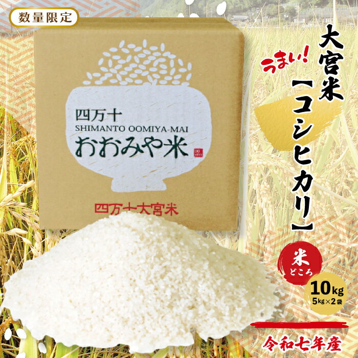 【ふるさと納税】【令和7年産 数量限定】 四万十 の 米どころ 山間地域で育てた 大宮米 コシヒカリ 10kg 高知県 高知 しまんと 国産 お米 米 白米 精米 こしひかり 低農薬栽培 ご飯 産地直送 送料無料 25-305