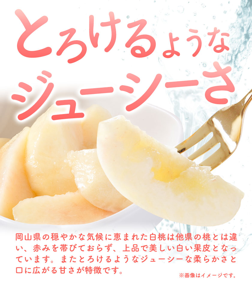 【先行予約】岡山の白桃2回コース 8玉(1.7kg以上)  株式会社山博 (中本青果)《1回目：2024年7月上旬から7月中旬発送予定2回目：2024年7月下旬から8月上旬発送予定》岡山県 浅口市 桃