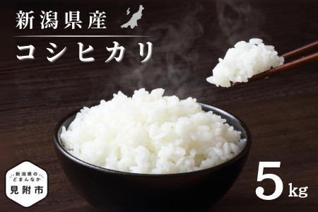 【ふるなびWEEK対象】無洗米 新潟県産 令和6年産 コシヒカリ 5kg 精米 したてをお届け 新潟のど真ん中 見附市 こしひかり 米 お米 白米 国産 ごはん ご飯 FN-Limited