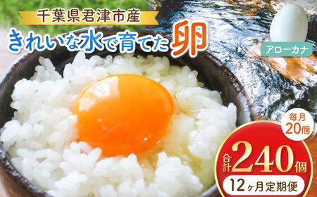 【12回定期便】きれいな水で育てた卵 アローカナ 20個