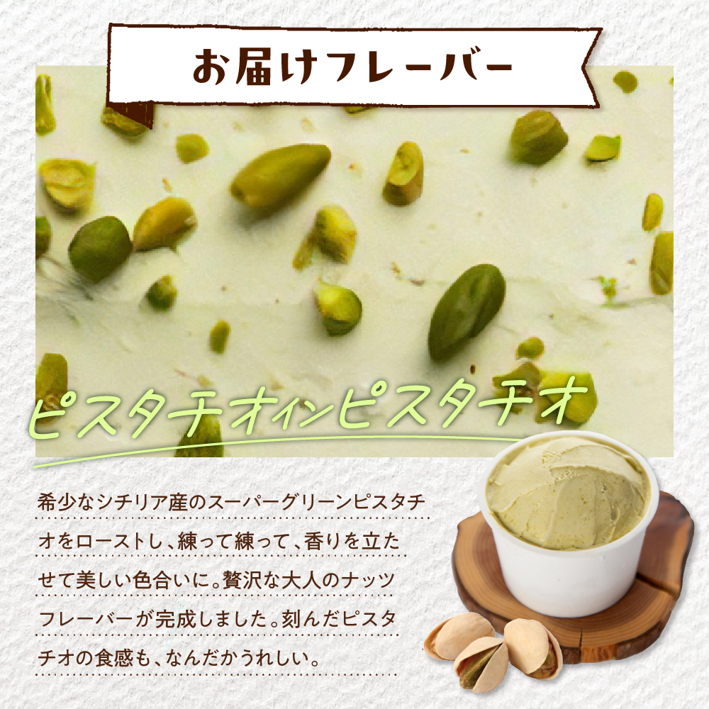 E.den(エデン) 豊富牛乳ジェラート ピスタチオインピスタチオ 100ml×6個