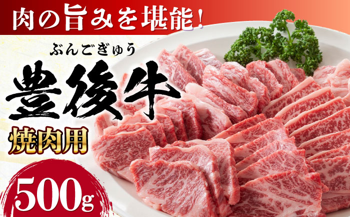 おおいた豊後牛 焼肉用 500g 焼肉 日田市 / 株式会社MEAT PLUS　牛 うし 黒毛和牛 和牛 豊後牛 [AREI021]