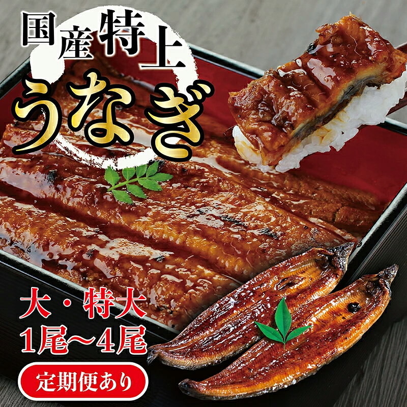 【ふるさと納税】国産 特上 うなぎ の かば焼き 約200g〜250g （大サイズ〜特大サイズ）1〜4尾 数量選択可能 定期便 送料無料 福井県越前市 蒲焼き 鰻 ウナギ 土用の丑の日 お中元（18209）