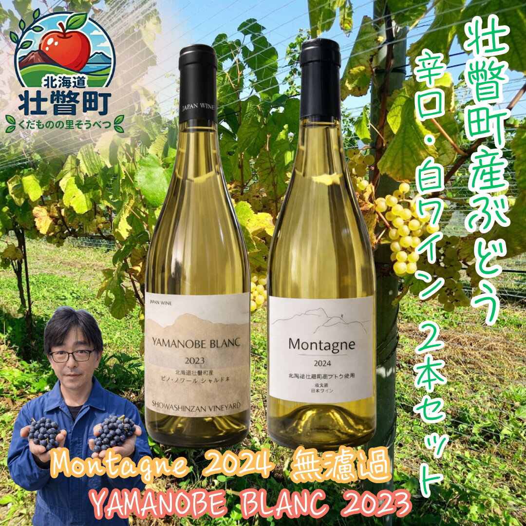 【ふるさと納税】昭和新山ワイン YAMANOBE BLANC 2023(ヤマノベブラン)、Montagne 2024 無濾過(モンターニュ)白ワイン 辛口 750ml 各1本セット 【ふるさと納税 人気 おすすめ 白ワイン 昭和新山 辛口 お酒 ぶどう 丹波ワイン セット 飲み比べ 北海道壮瞥町 送料無料】SBTQ014