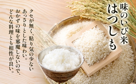 揖斐郡産　味のいび米はつしも精米10kg