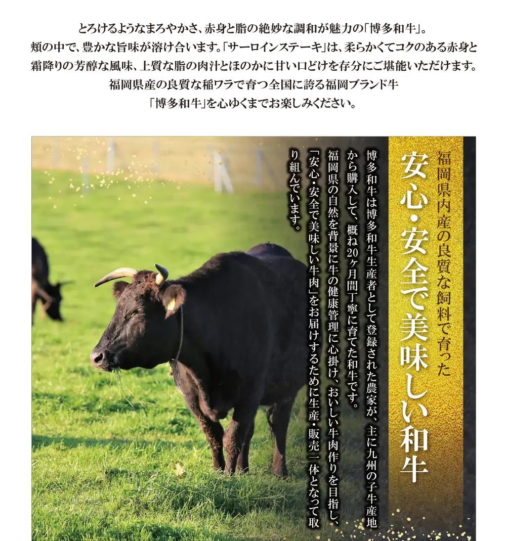 Z09-04 博多和牛 サーロインステーキ用740g 和牛