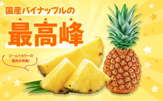 パイナップル ゴールドバレル 約3kg 2～4玉 パイン 果物 フルーツ 沖縄 西表島【TOK:iふぁーむ】配送不可：離島028-a002_2026 【約3kg】　2～4玉