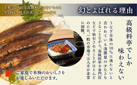 【定期便】幻の青うなぎ 蒲焼 4尾 全3回 定期便　合計12尾