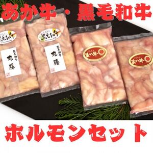 熊本県産　黒毛和牛(丸腸)・あか牛(小腸)各200g×2個　ホルモン　合計800gセット(益城町)【配送不可地域：離島】【1553600】