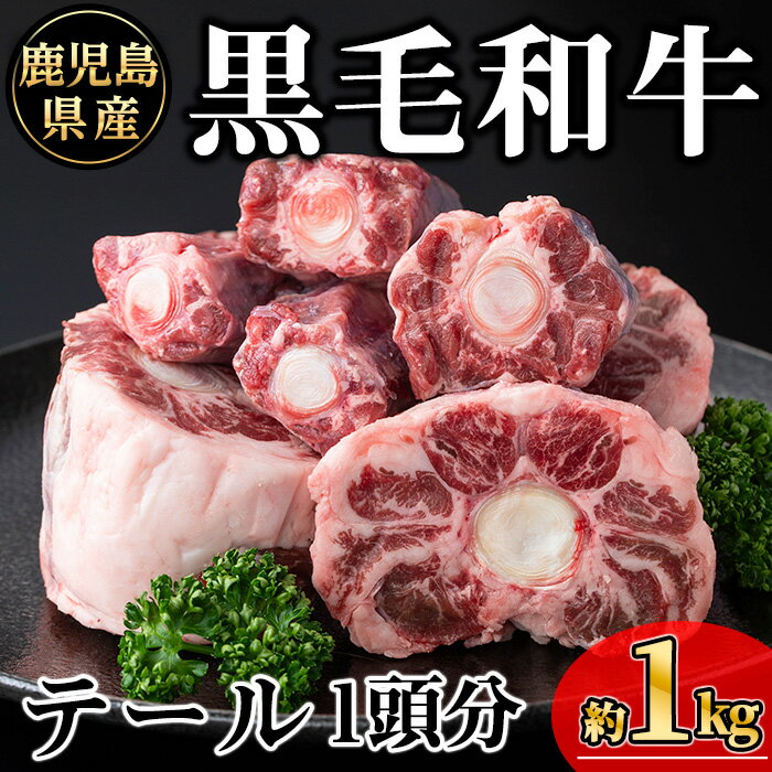【ふるさと納税】鹿児島県産黒毛和牛テール 1頭分(約1kg) 国産 鹿児島県産 牛 小分け 冷凍 牛肉 黒毛和牛 テール【KNOT】