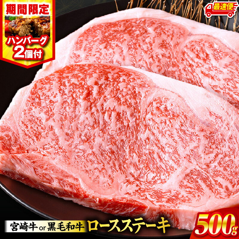 【ふるさと納税】高評価★4.61 総合ランキング1位【発送時期が選べる】【期間・数量限定】畜産農家応援！宮崎牛or黒毛和牛ロースステーキ250g×2・国産牛ハンバーグ100g×2個 宮崎牛 黒毛和牛 牛 牛肉 肉 ロースステーキ ロース ステーキ 焼肉 国産《レビューキャンペーン》