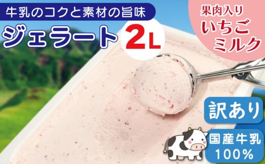 ジェラート 業務用 2L いちごミルク アイスクリーム アイス デザート いちご 苺 果肉入り イチゴミルク フルーツ 果物 国産 牛乳 ミルク クリーム スイーツ 菓子 洋菓子 おやつ パーティー ギフト 徳島県 吉野川市
