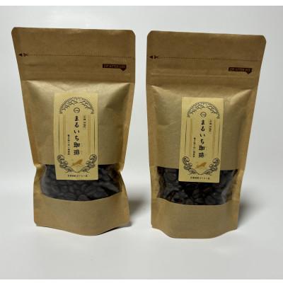 ふるさと納税 伊根町 伊根の蔵で自家焙煎したコーヒー豆セット(100g×2袋)