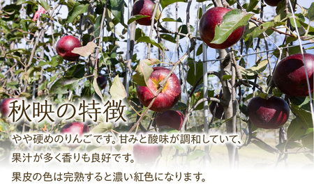 【2026年/令和8年度発送分！】信州のりんご 秋映 約5kg りんご リンゴ 林檎 長野 フルーツ 果物 信州産 長野県産 特産 産地直送 おすすめ