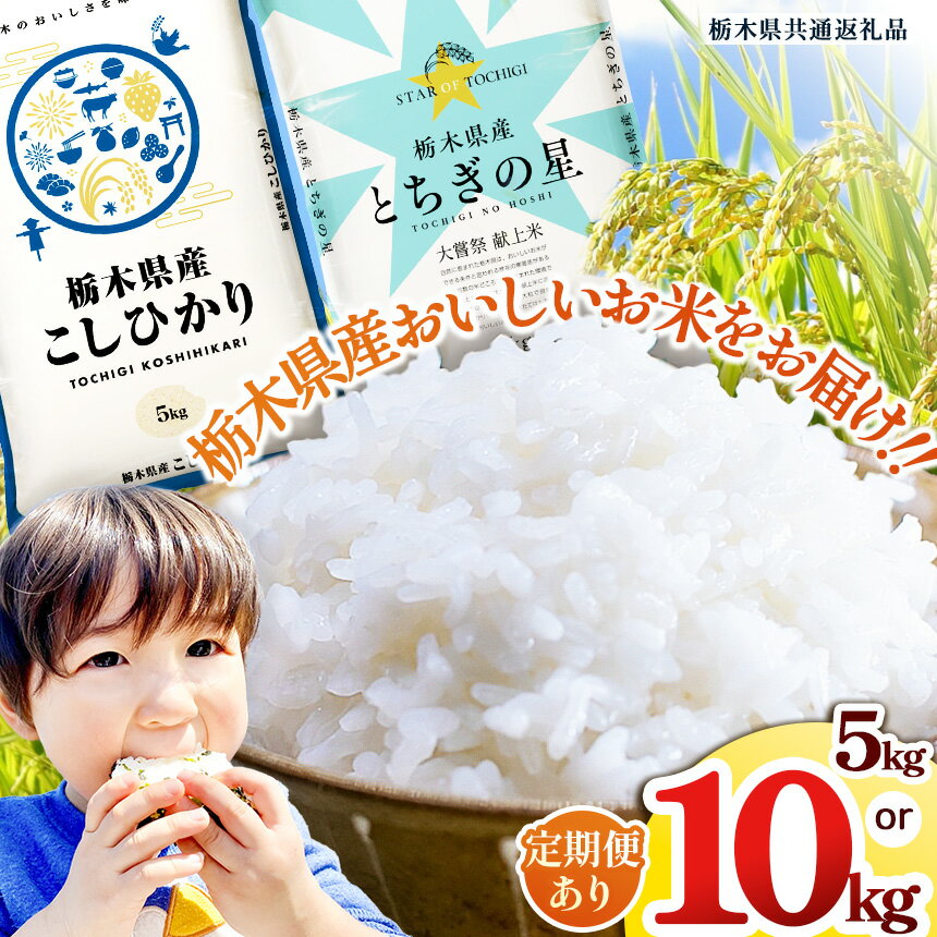 【ふるさと納税】 白米 選べる 定期便 こしひかり コシヒカリ とちぎの星 令和7年 | 5kg 10kg | 定期便 3回 6回| お米 米 こめ ご飯 美味しい ふるさと 栃木県 矢板市 【栃木県共通返礼品】 ブランド米