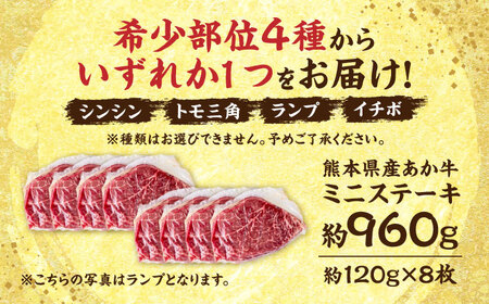 熊本 あか牛 ミニステーキ 約960g（約120g×8枚）【合同会社 たべたせいか】[AYCB063]