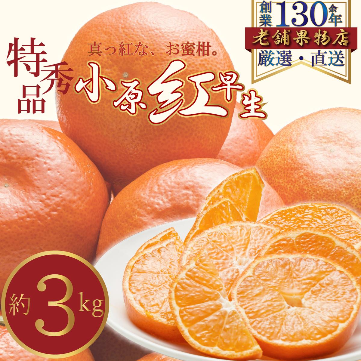【ふるさと納税】小原紅早生 みかん 約3kg 3キロ 紅みかん 香川県産 柑橘 かんきつ 蜜柑 真っ赤 香川県オリジナル品種 果汁 綾川産 果物 果実 くだもの フルーツ お取り寄せ 内祝い 贈答 ギフト プレゼント くだもの畑 PonPon 香川県 綾川町