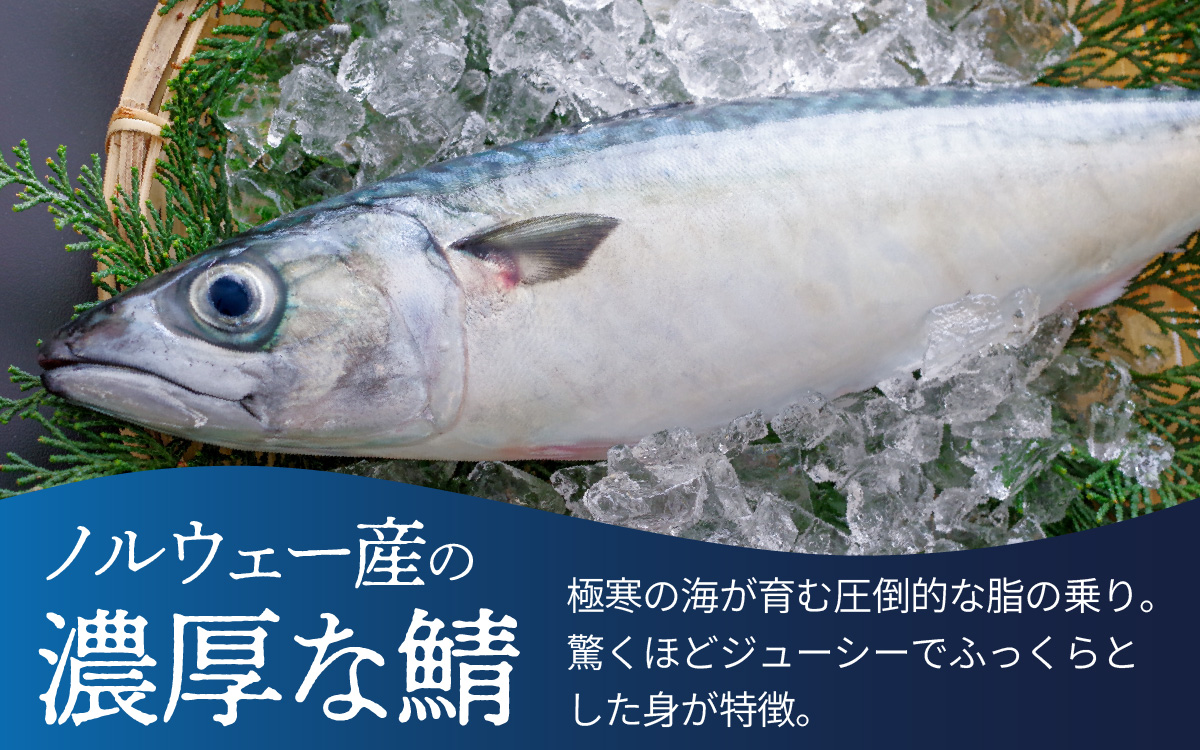 【数量限定】若狭名物 「 吟醸トロ鯖 焼き鯖寿司 ] 1本 