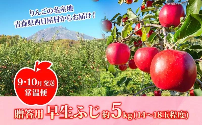 りんご 早生ふじりんご 青森県産 贈答用早生ふじ りんご【約5kg】【9〜10月発送】
