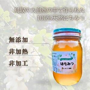 946.天然はちみつ　百花蜜　600g×1本  蜂蜜 ハチミツ ハチ蜜 鳥取県産◇日本全国配送可能