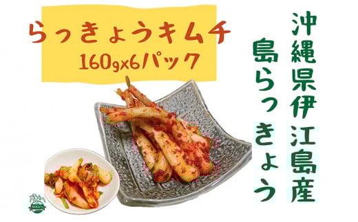 らっきょう 伊江島のらっきょうキムチ 160g 6個 [NOGUS 沖縄県 伊江村 ie47bde420000] キムチ 島らっきょう