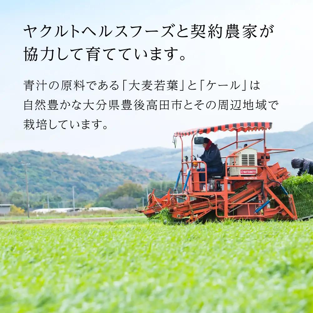 私の青汁 (60袋×2箱)  | ヤクルト青実