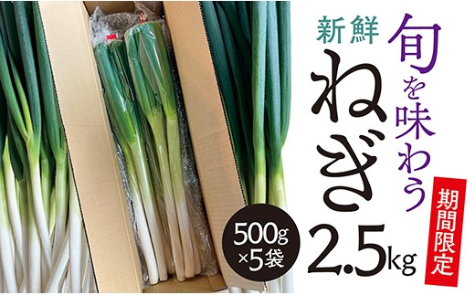 最上町産　ねぎ詰め合わせ2.5kg