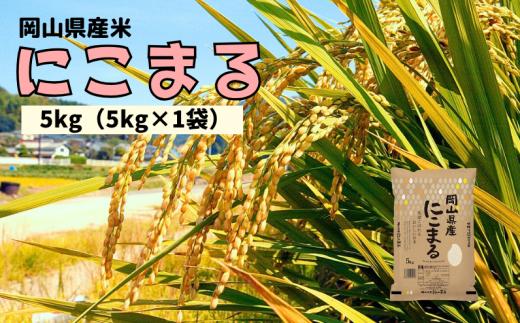 【令和7年産】岡山県産米 にこまる 5kg 5kg×1袋 【先行予約 2025年11月上旬から順次発送】
