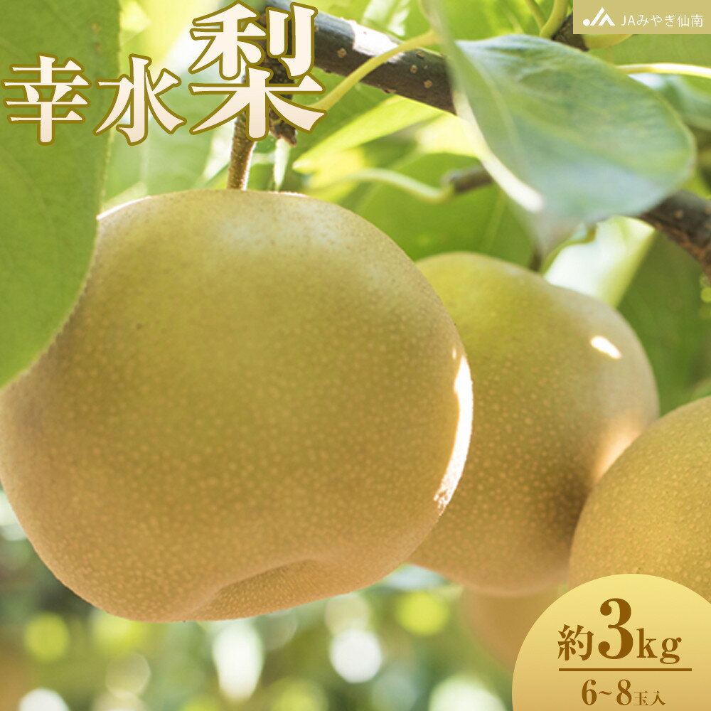 【ふるさと納税】 梨 幸水 約3kg (6～8玉入) なし ナシ フルーツ 果物 くだもの こうすい 幸水梨 食品 人気 おすすめ おいしい 美味しい 甘い 送料無料 贈答用 プレゼント ギフト 国産 宮城県産 JAみやぎ仙南