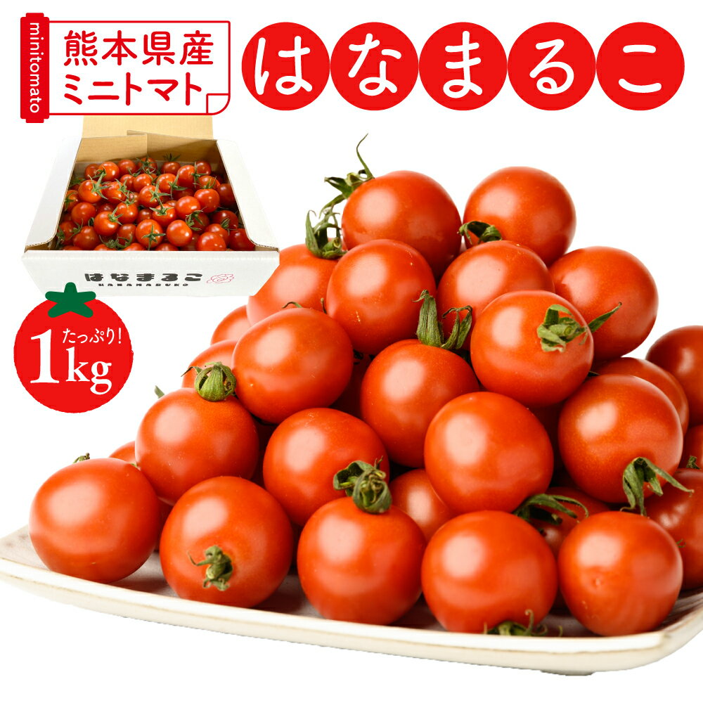【ふるさと納税】熊本県産 ミニトマト はなまるこ 1kg トマト とまと 野菜 産地直送 プチトマト リコピン 新鮮 青果物 農産物 サラダ パスタ カプレーゼ 八代市産 箱入り 冬トマト 旬 冬 春 特産品 まとめ買い 送料無料