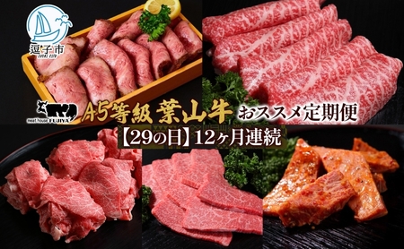葉山牛黒毛和牛カルビ切り落し霜降り冨士屋牛肉店葉山牛【定期便】