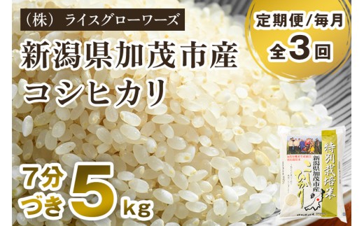 【令和8年産新米先行予約】【定期便3ヶ月毎月お届け】7分づき 特別栽培米 コシヒカリ 精米 5kg《10月上旬～順次出荷》 従来品種コシヒカリ （株）ライスグローワーズ 新潟県 加茂市産 白米 米 お米 定期便