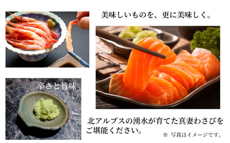 本わさび「真妻わさび」Mサイズ２本セット 約160ｇ 北アルプスの湧水が育てた山の宝石 ワサビ