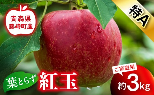 【先行予約】葉とらず 紅玉 特A 家庭用 約3kg 【グランドアップル】 青森りんご リンゴ 林檎 アップル 果物 くだもの フルーツ  F41-0030