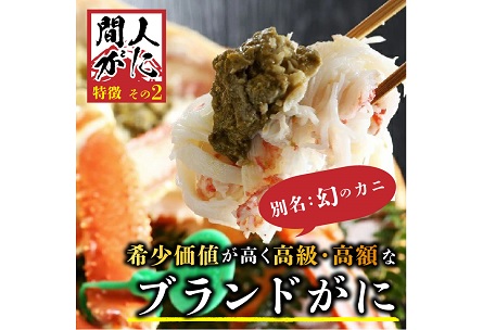 （訳あり）茹で間人がに 2匹 Bセット　11/22～12/21発送予定