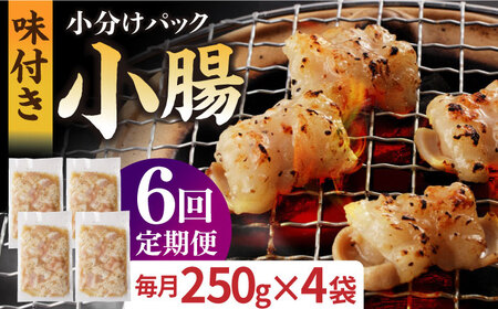 【6回定期便】【塩だれ】九州産和牛ホルモン 小腸 1kg（250g×4袋） [EAX110] 定期便 国産ホルモン 和牛ホルモン ホルモン小腸 小腸ホルモン ﾎﾙﾓﾝ定期便