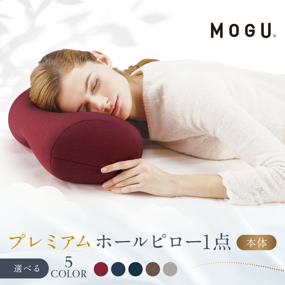 【ふるさと納税】プレミアムホールピロー【5色展開】 | 鳥取 MOGU 抱きまくら ピロー ビーズクッション 送料無料 鳥取県 鳥取市