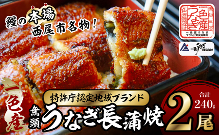 【土用の丑用までにお届け】一色産うなぎ　無頭　長蒲焼２尾（240ｇ） 鰻 ウナギ うなぎ 蒲焼 国産 うなぎ蒲焼 タレ付き たれ 国産うなぎ 蒲焼き うな丼 丑の日 土用の丑の日・I048-13-1-c1