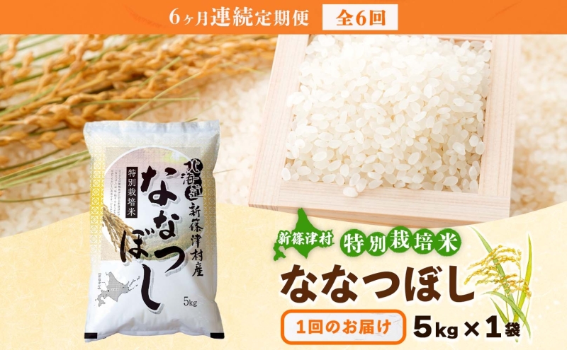 定期便 6ヵ月 北海道 特別栽培 令和7年産 ななつぼし 5kg 精米 米 白米 お米 新米 ごはん ご飯 ライス 道産米 ブランド米 新しのつ米 ふっくら 食味ランキング  産地直送 カワサキ森田屋