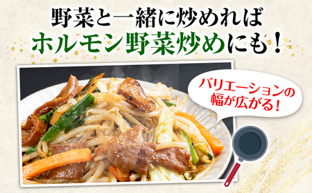 馬ホルモン焼 10個セット 10人前 (100g×10個) 千興ファーム 《60日以内に出荷予定(土日祝除く)》 熊本県 御船町 ホルモン ホルモン焼き 馬ホルモン 馬 馬肉 タレ たれ 個包装 おつ