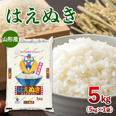 ふるさと納税 山形市 山形産 はえぬき 5kg FZ26-903