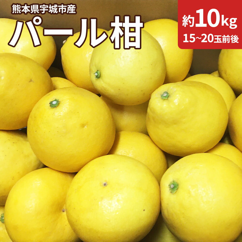 【ふるさと納税】【先行予約】パール柑 約10kg 【2026年2月上旬から4月中旬発送予定】 ぱーるかん 柑橘 熊本県産 九州産 国産 熊本県宇城市産
