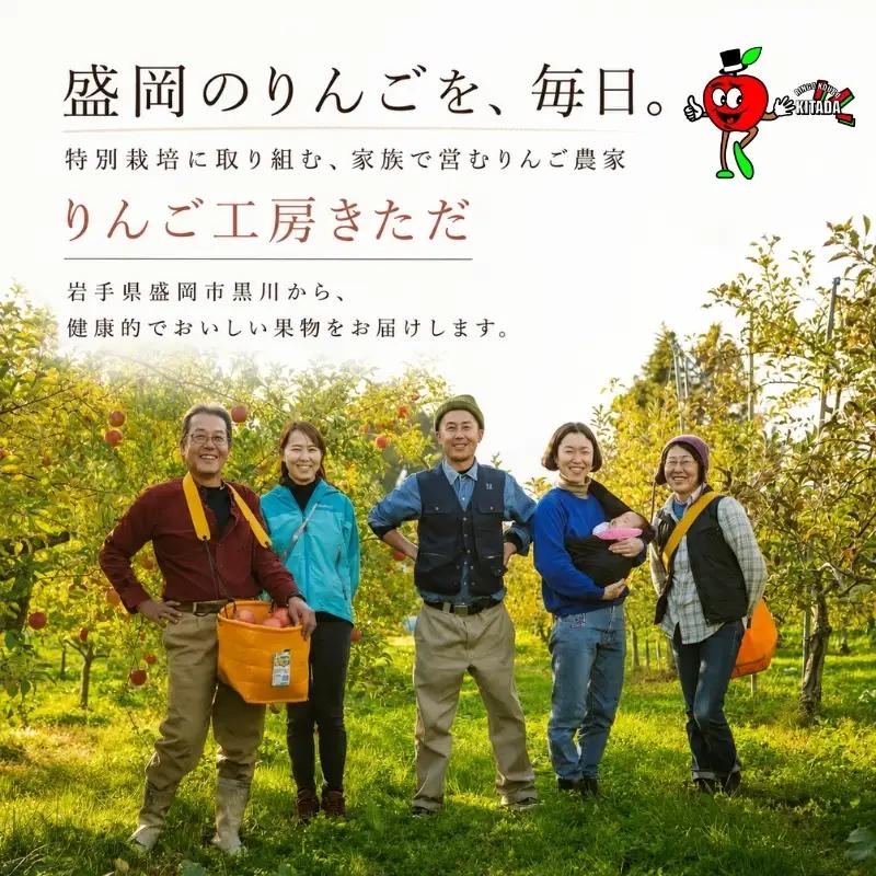 期間限定 先行予約りんご季節便(発送1回)3kg＜10月~12月便＞ りんご 工房きただRKK002