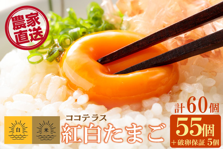 ココテラスの紅白たまご　55個 + 5個保証（計60個）【JGAP認証】 農家直送 新鮮 卵 タマゴ 赤卵 白卵 玉子 鶏卵 朝食 夕食 夜食 朝ごはん たまご焼き だし巻き卵 オムレツ 卵ご飯 料理 濃厚 飼料にこだわった 卵かけご飯 米たまご 生卵 大容量 お取り寄せ 愛知県 常滑市