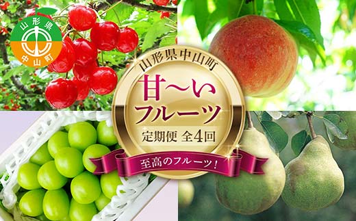 2026年6月発送開始 先行受付 山形県 至高のフルーツ！ 山形県中山町 甘～いフルーツ定期便 全4回 さくらんぼ 桃 シャインマスカット ラ・フランス 山形県 中山町 F4A-0476