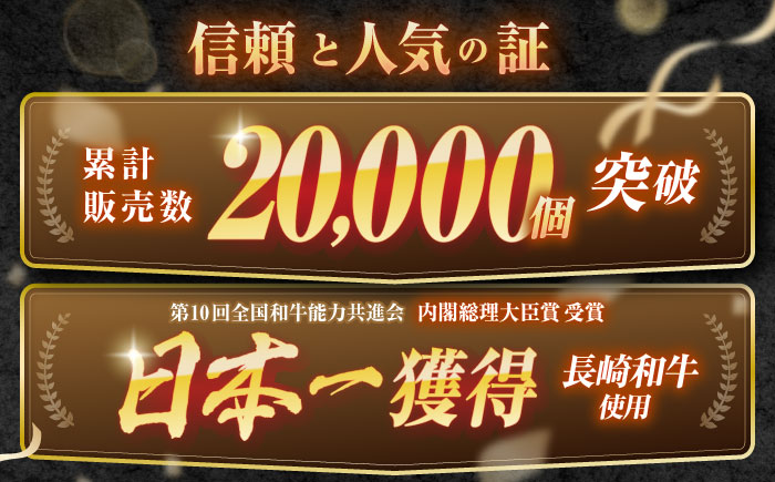 【6回定期便】ながさきふわとろハンバーグ　150g×10個入 / ハンバーグ はんばーぐ　肉 牛肉 豚肉 おかず 惣菜 定期便 / 諫早市 / ワールド・ミート有限会社 [AHBG011]